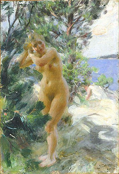 Anders Zorn After the Bath, Norge oil painting art